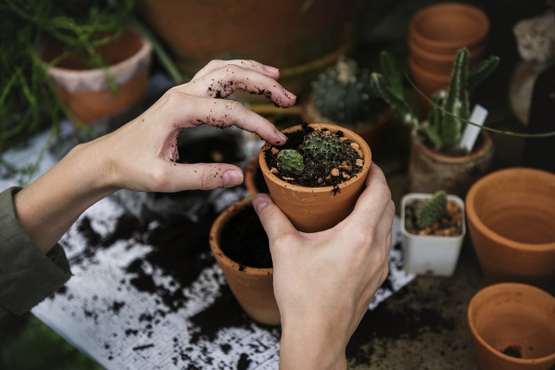 Gardening in limited spaces